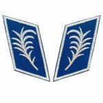patki policyjne korpusu oficerskiego pagon24